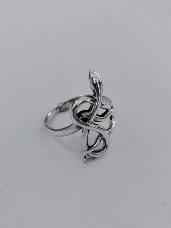 Stříbrný prsten had